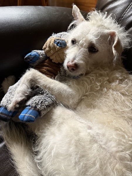 Entry image for Lu Lu Tu. Clicking this image will show a larger photo