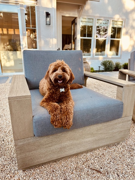 Entry image for Henley. Clicking this image will show a larger photo