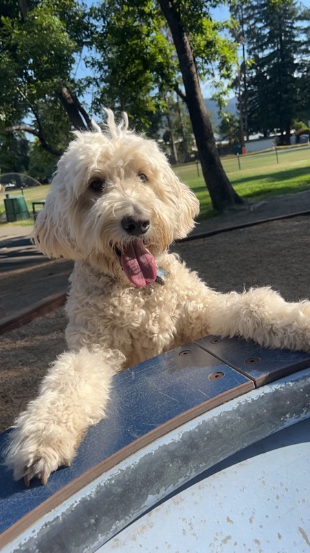 Entry image for Max. Clicking this image will show a larger photo