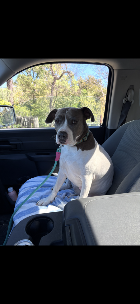 Entry image for Bianca. Clicking this image will show a larger photo