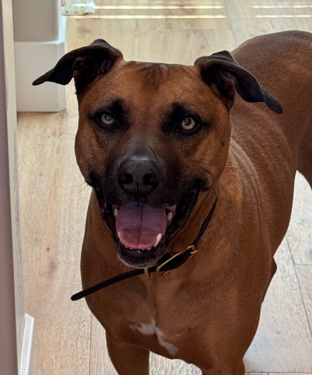 Entry image for Banks. Clicking this image will show a larger photo