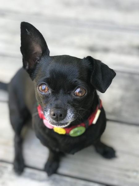 Entry image for Betty . Clicking this image will show a larger photo