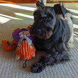 Entry image for Missy