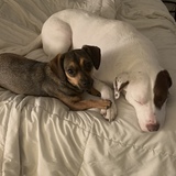 Entry image for Betty and Miles