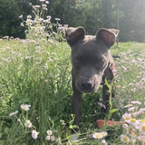 Entry image for Winnie