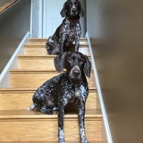 Entry image for Emma & Daisy