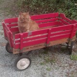 Entry image for Rusty
