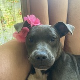 Entry image for Winnie