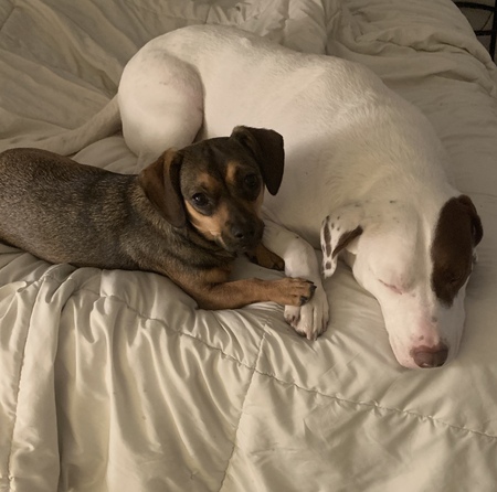 Entry image for Betty and Miles. Clicking this image will show a larger photo