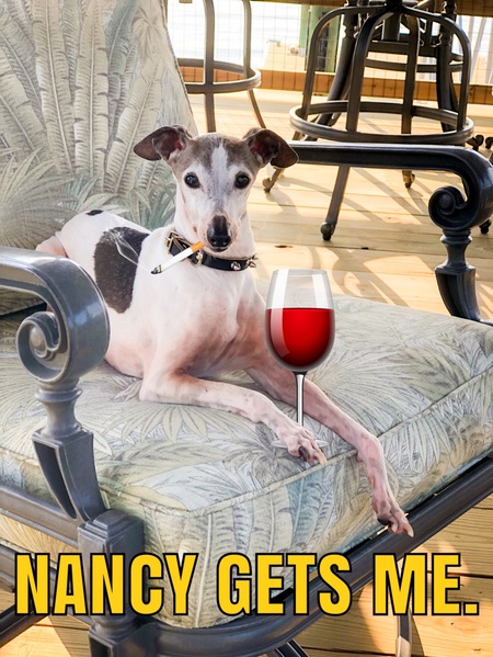 Entry image for Pupples. Clicking this image will show a larger photo