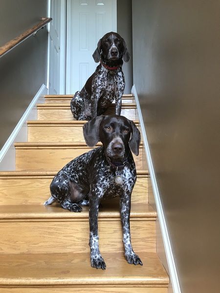 Entry image for Emma & Daisy. Clicking this image will show a larger photo