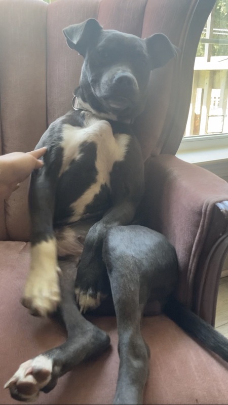 Entry image for Winnie. Clicking this image will show a larger photo