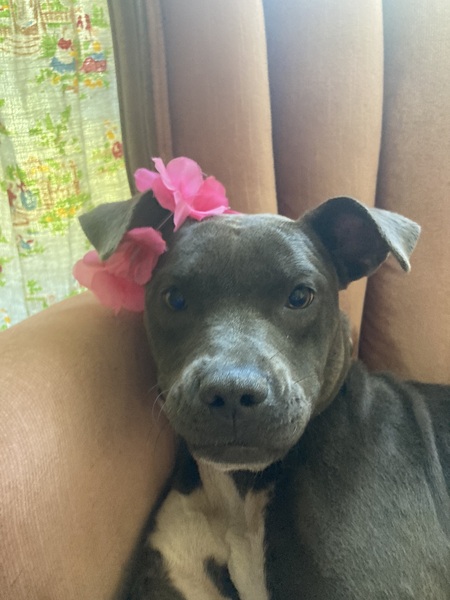 Entry image for Winnie. Clicking this image will show a larger photo