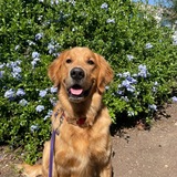 Entry image for Tucker