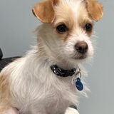 Entry image for Wally