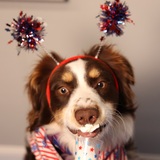Entry image for Lucy