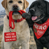 Entry image for Tango