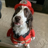Entry image for Casey