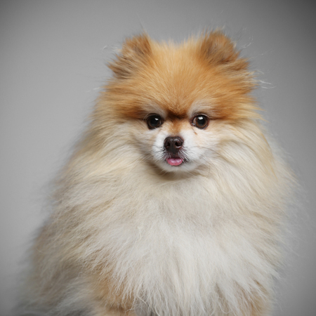Entry image for Pete. Clicking this image will show a larger photo
