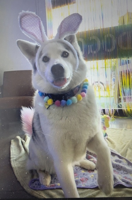 Entry image for KELLY. Clicking this image will show a larger photo