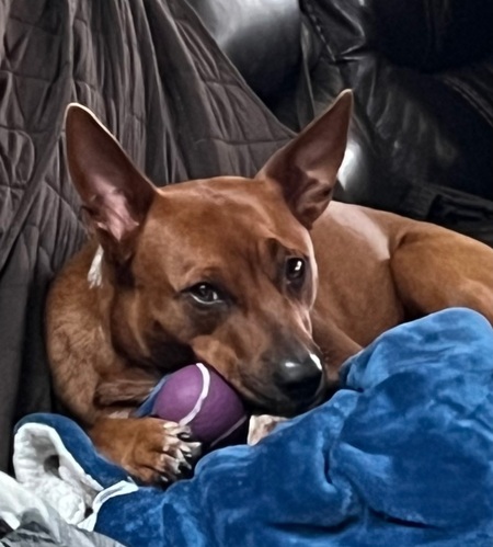Entry image for Mattie. Clicking this image will show a larger photo