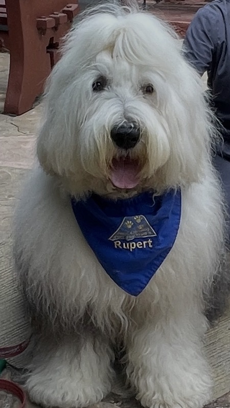 Entry image for Rupert The Bear. Clicking this image will show a larger photo