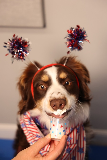 Entry image for Lucy. Clicking this image will show a larger photo