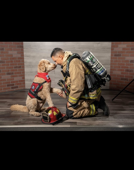 Entry image for Cooper. Clicking this image will show a larger photo
