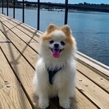 Entry image for Gary