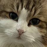 Entry image for Emmy