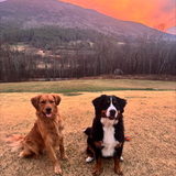 Entry image for Nelli and Oakley