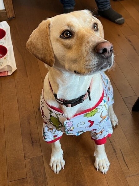 Entry image for Zoey. Clicking this image will show a larger photo