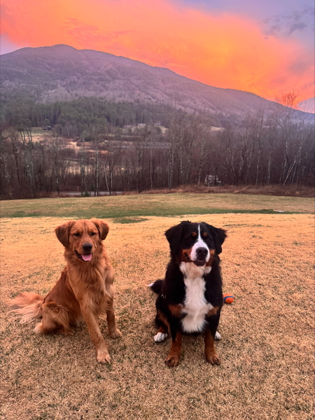 Entry image for Nelli and Oakley. Clicking this image will show a larger photo