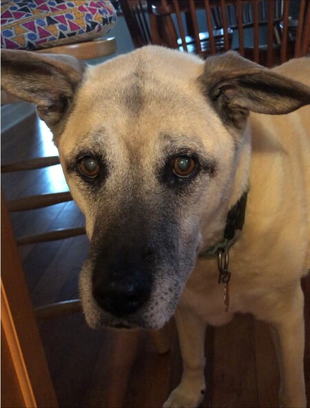Entry image for Isabelle Marie (Izzy). Clicking this image will show a larger photo