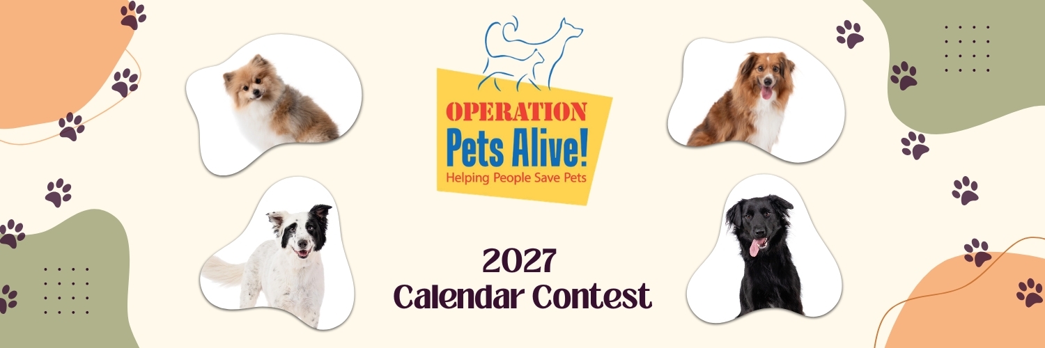 Banner for Operation Pets Alive 2027 Calendar Contest