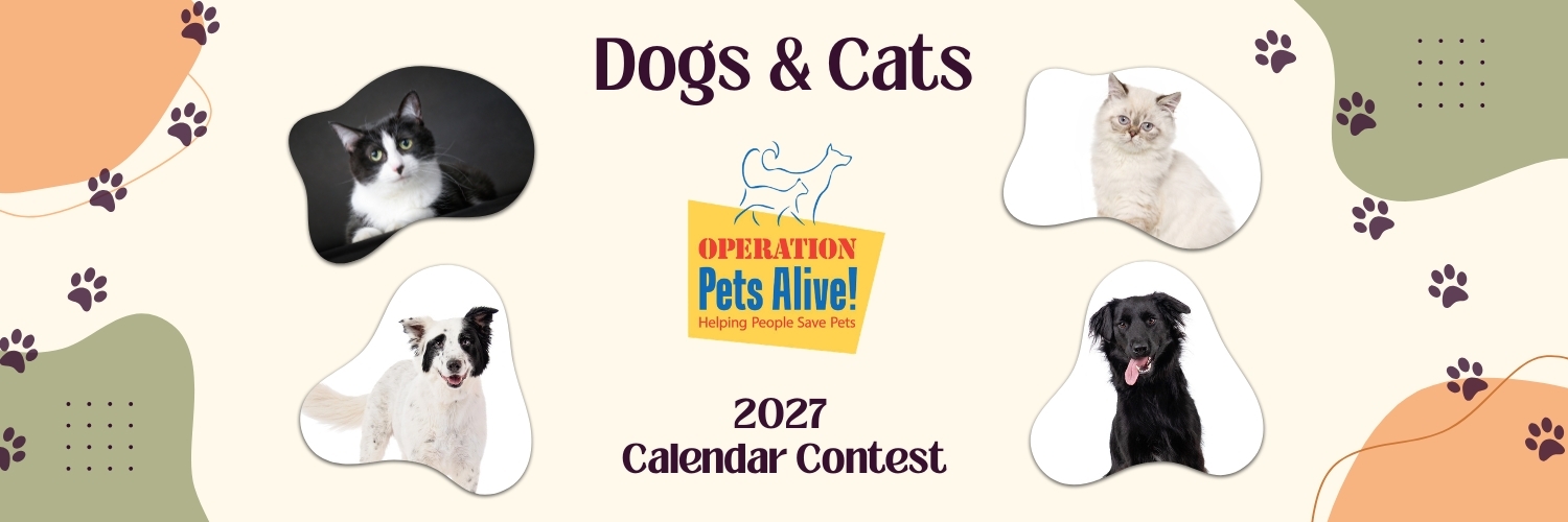 Banner for Operation Pets Alive 2027 Calendar Contest