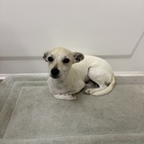 Entry image for Libby Solis