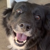 Entry image for Mindy