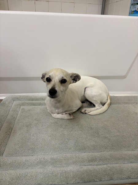 Entry image for Libby Solis. Clicking this image will show a larger photo