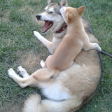 Entry image for Dulce & Canela