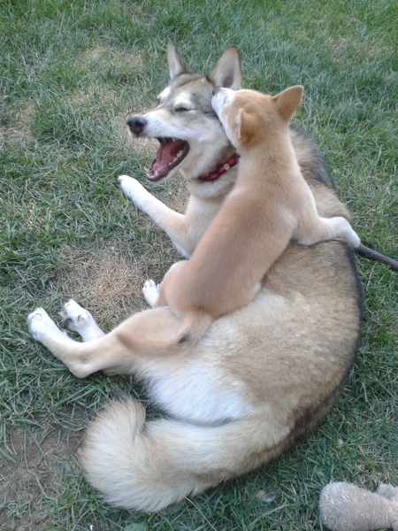 Entry image for Dulce & Canela. Clicking this image will show a larger photo