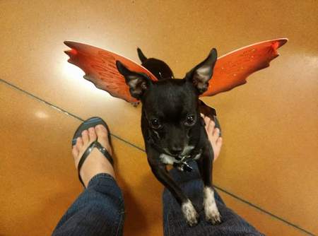 Entry image for Deamion Cole. Clicking this image will show a larger photo