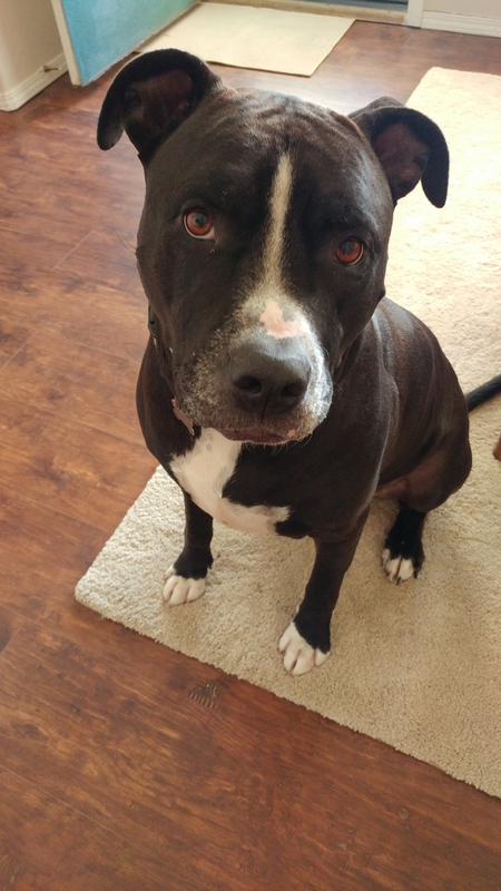 Entry image for Goliath. Clicking this image will show a larger photo