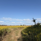 Entry image for Reaching Cross