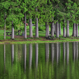 Entry image for Reflections