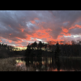 Entry image for Quiet moments 