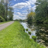 Entry image for Reflections on the Trail near Summit Lake