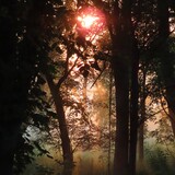 Entry image for Morning Light