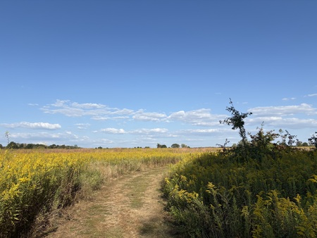 Entry image for Reaching Cross. Clicking this image will show a larger photo