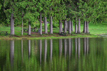 Entry image for Reflections. Clicking this image will show a larger photo